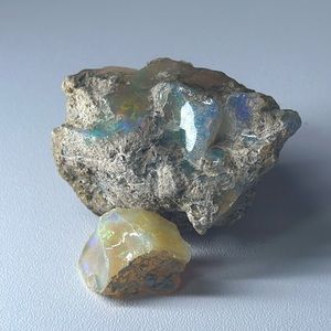 Dried Opal